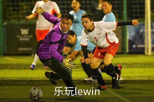 乐玩lewin公司环境